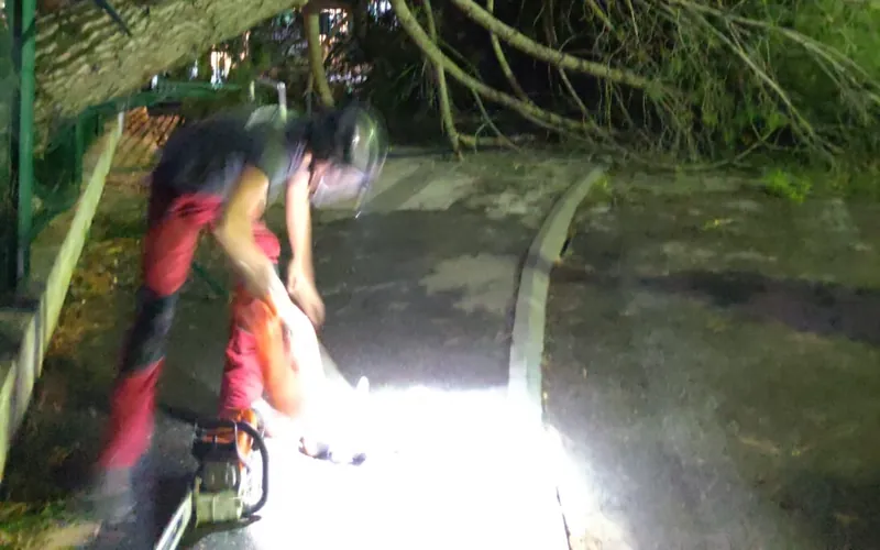 Intervention de nuit sur un arbre tombé et dangereux après une tempête