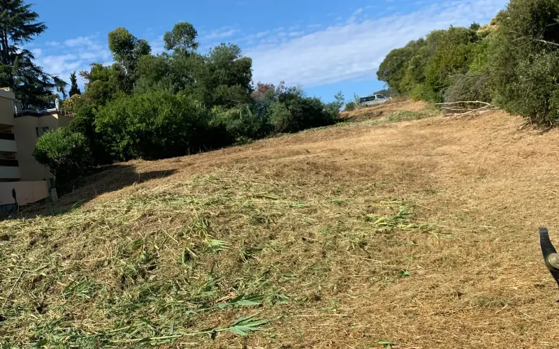 Débroussaillage réglementaire DFCI d'un terrain dans les Alpes-Maritimes
