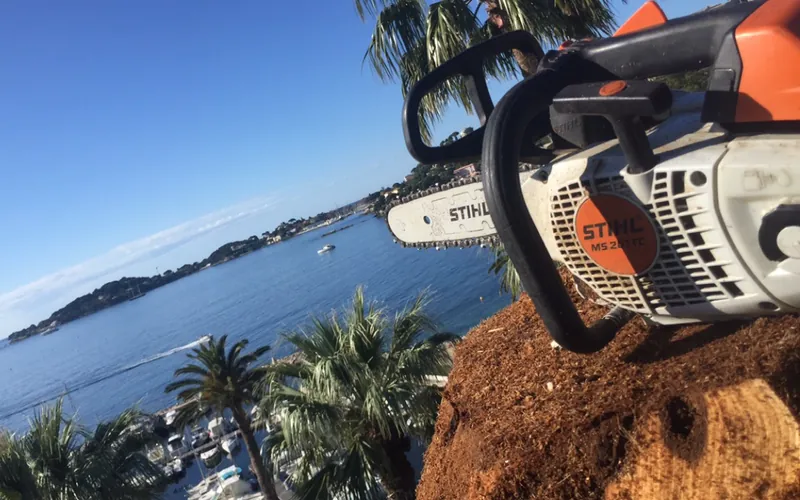 Tronçonneuse professionnelle STIHL devant la baie, chantier d'élagage sur la Côte d'Azur